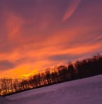 Nancy Heide - Facebook
