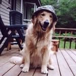 Nancy Heider - @jartawood - Instagram