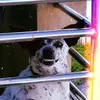 Heiloooo_Nancy - @heiloooo_nancy - TikTok