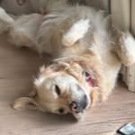 Nancy Jo Olin Heldt - @nancyolinheldt - Instagram