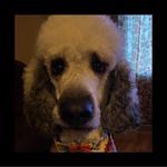 Nancy Helland - @nhelland13 - Instagram