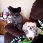 Nancy Hellman - Facebook