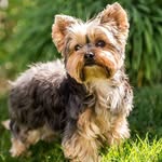 Nancy - @nancyshelman123 - Instagram
