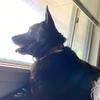 nancyshelmandougl - @nancyshelmandougl - TikTok