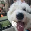 nancyhelmickirepk - @nancyhelmickirepk - TikTok