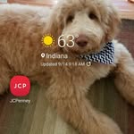 Nancy Helsel - @helsel327 - Instagram