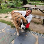 Nancy Henriquez - @nancy.henriquez.35325 - Instagram