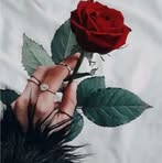 Nancy Henriquez - Facebook