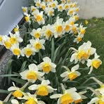 Nancy Hepp - Facebook