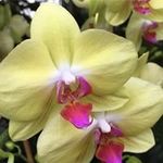 Nancy Hepp Burchall - @nancyburchall - Instagram
