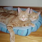Nancy Herbst - @nancyadair2024 - Instagram