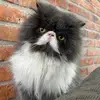 Nancy - @nancy_herdez - TikTok