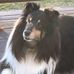 Nancy Herendeen - Facebook