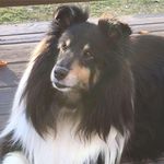 Nancy Herendeen - @nancyherendeen - Instagram