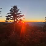@nancy.f.herington - Instagram