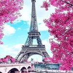 @nancy.e.hermida - Instagram
