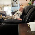 Nancy Hershey - @nhershey1957 - Instagram