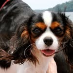 Nancy Hesse Benson - @nancyhessebenson - Instagram