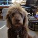 Nancy Heuss - Facebook