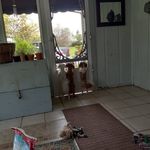 Nancy Hice Miller - @hicemiller - Instagram