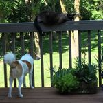 Nancy Hickok - @nancyhickok - Instagram