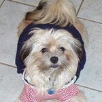 Nancy Hickok - @tikiswindydog - Instagram