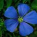 Nancy Hickok - Facebook