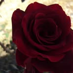 Nancy Hiebert - Facebook