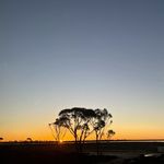 Nancy Hiller - @hiller.nancy0 - Instagram
