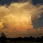 Nancy Hilliard - @nanhill15 - Instagram