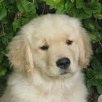 Nancy Hills - @nancy.hills.92167 - Instagram