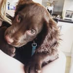 Nancy Hills - @nancychocolatehills - Instagram