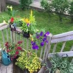 Nancy Hillyard - @hillyard02 - Instagram