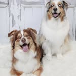 Nancy Hilts and Nancy Wilson - @nancyhilts.wilson - Instagram