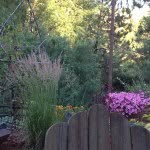 Nancy Hindman - @armstronggal02 - Instagram