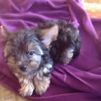 Nancy Hindman - Facebook