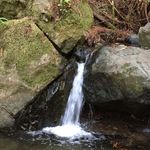 Nancy Hines - @nancyhines6290 - Instagram
