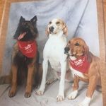 Nancy Hippe - @hippenancy - Instagram