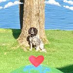 Nancy Hippe Noon - @kittiesinsd - Instagram