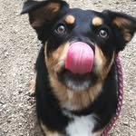 Nancy Hirsch - @nancy.j.hirsch77 - Instagram