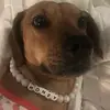 nancyhirschchaise - @nancyhirschchaise - TikTok