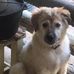 Nan Hitchens - Facebook