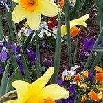 Nancy Hitchens - @hitchensnancy - Instagram