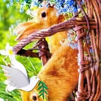 Nancy Hixon - Facebook