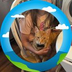 Nancy Hodgkinson - @serenityfalls01 - Instagram