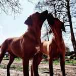 Nancy Hoekstra - @nancyhoekstra - Instagram