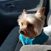 Nancy Hoffmaster - Facebook