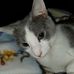 Nancy Hoffmaster - Facebook