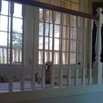 Nancy Hoffmaster - @katymom53 - Instagram