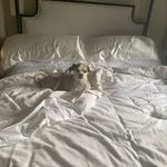 Nancy J Holaday - @nancyjholaday - Instagram